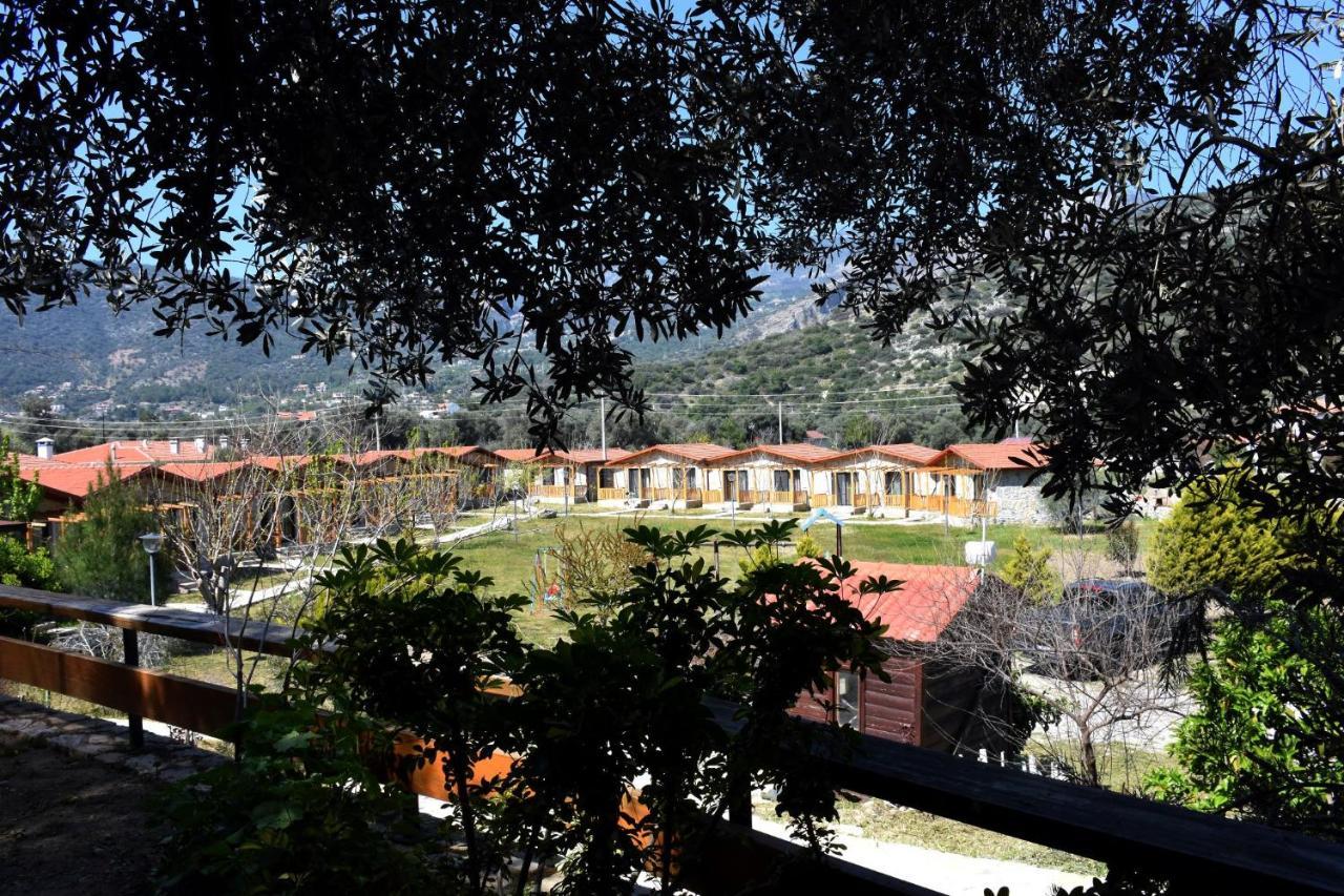 Begonvillage Tatil Evleri داتْشا المظهر الخارجي الصورة