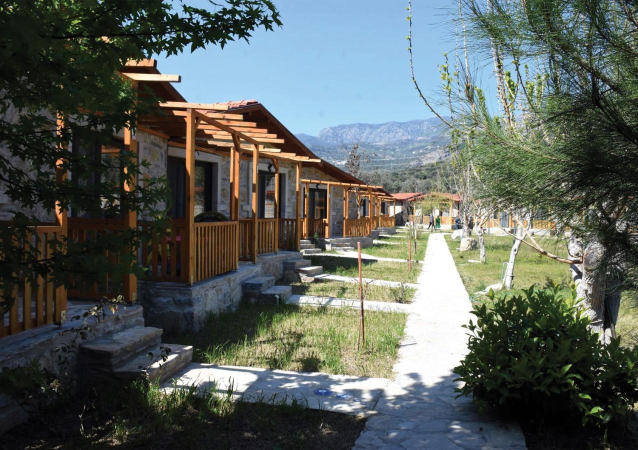 Begonvillage Tatil Evleri داتْشا المظهر الخارجي الصورة